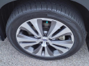 Thumbnail image of 2021 Subaru Ascent at Serra Buick Gmc Champaign
