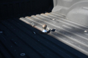 Thumbnail image of 2019 Ford F-250 Super Duty at Genesis of Cottageville