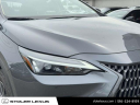 2024 Lexus NX 350 Base at Stoler Lexus