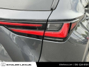 Thumbnail image of 2024 Lexus NX 350 at Stoler Lexus