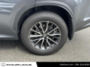 Thumbnail image of 2024 Lexus NX 350 at Stoler Lexus