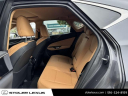 Thumbnail image of 2024 Lexus NX 350 at Stoler Lexus