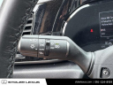 Thumbnail image of 2024 Lexus NX 350 at Stoler Lexus