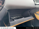 Thumbnail image of 2024 Lexus NX 350 at Stoler Lexus