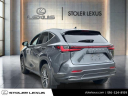 Thumbnail image of 2024 Lexus NX 350 at Stoler Lexus