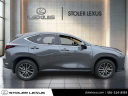 Thumbnail image of 2024 Lexus NX 350 at Stoler Lexus