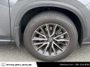 Thumbnail image of 2024 Lexus NX 350 at Stoler Lexus