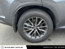 Thumbnail image of 2024 Lexus NX 350 at Stoler Lexus