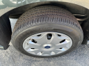 Thumbnail image of 2017 Ford Transit Connect at Fran Morelli Sales & Service