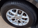 Thumbnail image of 2019 Chrysler Pacifica at Serra Buick Gmc Champaign