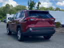 Thumbnail image of 2023 Toyota RAV4 at Bill Talley Ford