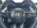 Thumbnail image of 2021 Alfa Romeo Stelvio at Superior Nissan Fayetteville