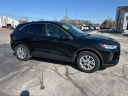 2023 Ford Escape Active at Alma Ford