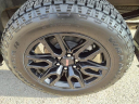 Thumbnail image of 2023 GMC Sierra 1500 at Mathews Nissan