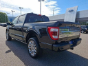Thumbnail image of 2023 Ford F-150 at PorterFordMitsubishiVinsolutions NEW