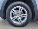 Thumbnail image of 2024 GMC Terrain at Landers Nissan