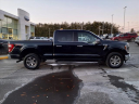 Thumbnail image of 2021 Ford F-150 at Wayne County Ford