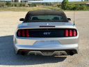 Thumbnail image of 2015 Ford Mustang at ROMAN MOTOR COMPANY