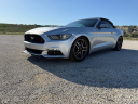 Thumbnail image of 2015 Ford Mustang at ROMAN MOTOR COMPANY