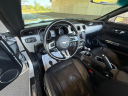 Thumbnail image of 2015 Ford Mustang at ROMAN MOTOR COMPANY