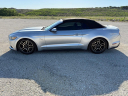 Thumbnail image of 2015 Ford Mustang at ROMAN MOTOR COMPANY
