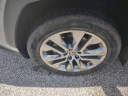 Thumbnail image of 2021 Toyota RAV4 at ThornhillGMSuperstoreUSED of South Williamson, KY