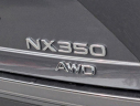 Thumbnail image of 2024 Lexus NX 350 at LenStolerLexusofTowson-Used of Towson, MD