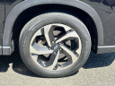 Thumbnail image of 2022 Subaru Forester at Grand Prix Subaru