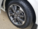 Thumbnail image of 2024 Honda Odyssey at Honda Of Cleveland