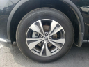 Thumbnail image of 2022 Nissan Murano at Hamilton Honda