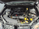 Thumbnail image of 2014 Subaru Forester at DULUTH MOTORSPORTS