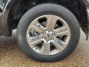 Thumbnail image of 2020 Ford F-150 at Frank Brown Honda GMC