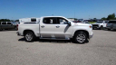 Thumbnail image of 2024 Chevrolet Silverado 1500 at Phelps Chevrolet Greenville - New