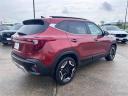 Thumbnail image of 2024 Kia Seltos at Auffenberg Kia of Cape Girardeau