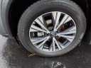 Thumbnail image of 2022 Nissan Rogue at Dutch Miller Nissan Of Wytheville