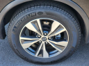 Thumbnail image of 2024 Nissan Murano at Galaxy Toyota