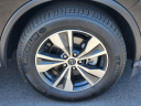 Thumbnail image of 2024 Nissan Murano at Galaxy Toyota