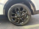 Thumbnail image of 2023 Kia Sorento at LaFontaine Toyota Kia Genesis of Dearborn