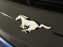 Thumbnail image of 2022 Ford Mustang at Metro Honda
