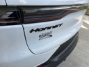 Thumbnail image of 2023 Dodge Hornet at University Dodge Ram
