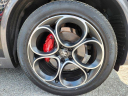 Thumbnail image of 2022 Alfa Romeo Stelvio at Used - PiazzaGenesisOfWestChester