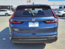 Thumbnail image of 2024 Honda CR-V at Team Gillman Honda North