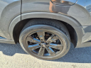 2024 Hyundai PALISADE XRT at Zeigler Chevrolet Claysburg