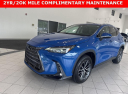 Thumbnail image of 2022 Lexus NX 350 at Johnson Lexus Of Durham