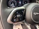 Thumbnail image of 2026 Jaguar F-PACE at Jaguar Land Rover Glen Cove