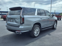 Thumbnail image of 2024 Cadillac Escalade at Lovering Auto Sales