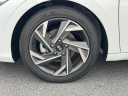 Thumbnail image of 2024 Hyundai ELANTRA at Fred Anderson Hyundai