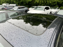 Thumbnail image of 2017 Audi A8 L at Fred Beans Genesis Doylestown
