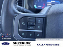 Thumbnail image of 2023 Ford F-350 Super Duty at Superior Ford (New)