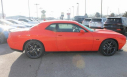 Thumbnail image of 2023 Dodge Challenger at Thelen Auto Group